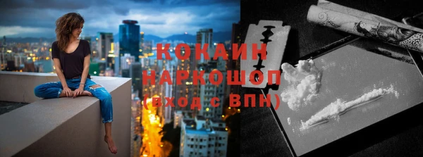 mix Бородино