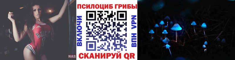 Галлюциногенные грибы Psilocybe  где купить наркоту  Нурлат 
